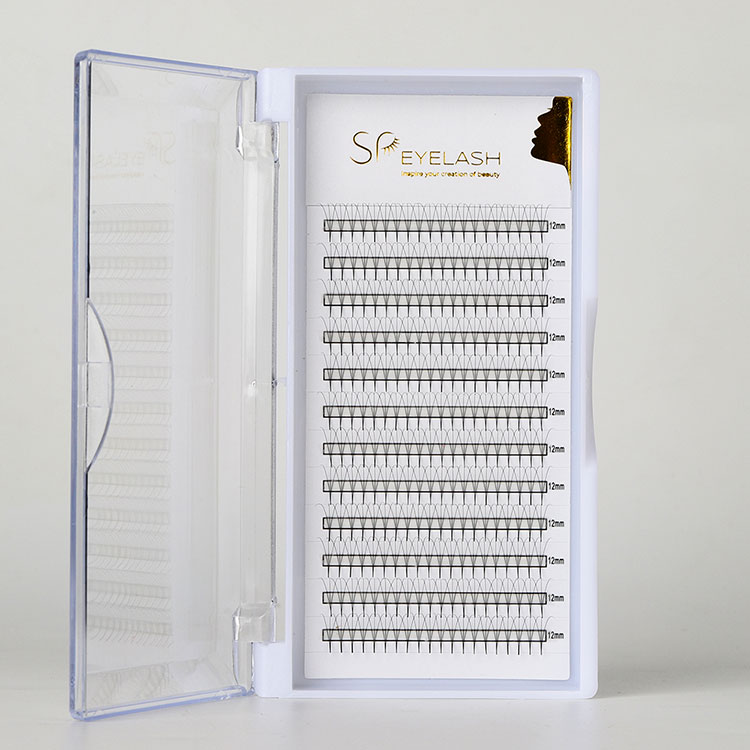 வேகமான, முழுமையான மற்றும் நீண்ட கால லாஷ் நீட்டிப்புகளுக்கு ப்ரோமேட் பாயிண்டி ஃபேன்களை எவ்வாறு தேர்வு செய்வது?